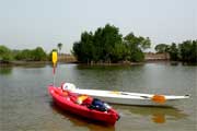 Kyak sur les bolongs en Casamance
